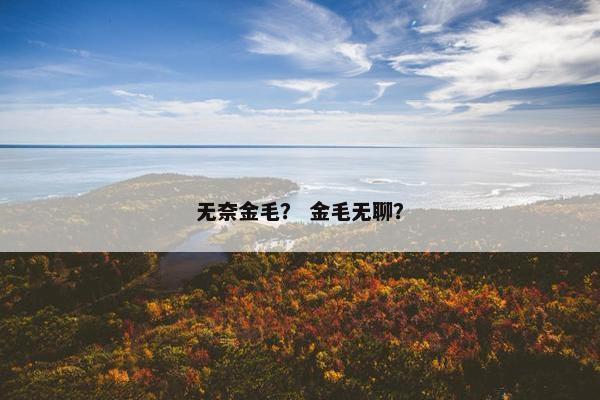 无奈金毛？ 金毛无聊？