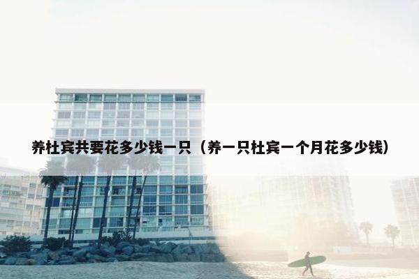 养杜宾共要花多少钱一只（养一只杜宾一个月花多少钱）