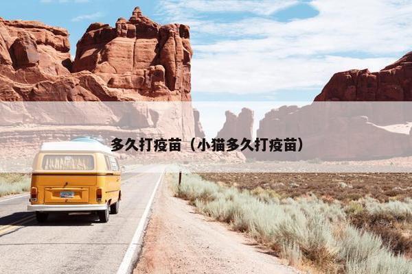 多久打疫苗（小猫多久打疫苗）