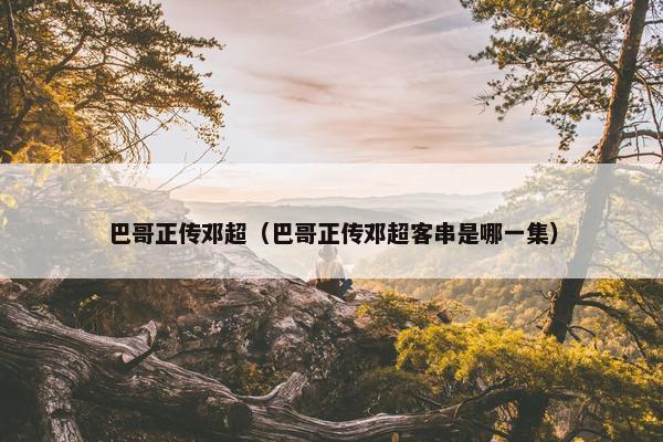 电视剧