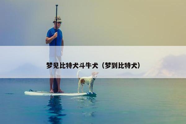 梦见比特犬斗牛犬（梦到比特犬）