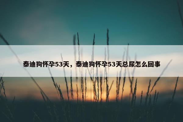 泰迪狗怀孕53天，泰迪狗怀孕53天总尿怎么回事
