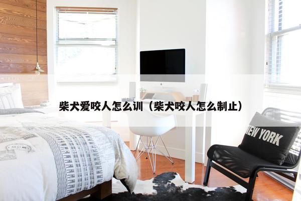 柴犬爱咬人怎么训（柴犬咬人怎么制止）