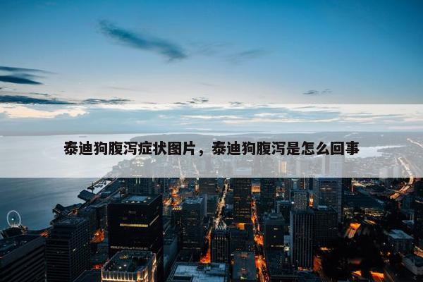 泰迪狗腹泻症状图片，泰迪狗腹泻是怎么回事