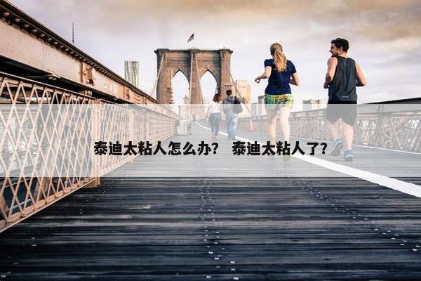 泰迪太粘人怎么办？ 泰迪太粘人了？