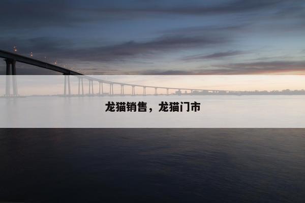 龙猫销售，龙猫门市
