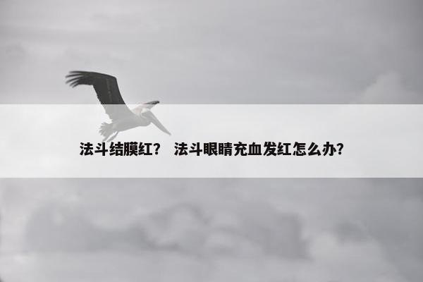 法斗结膜红？ 法斗眼睛充血发红怎么办？
