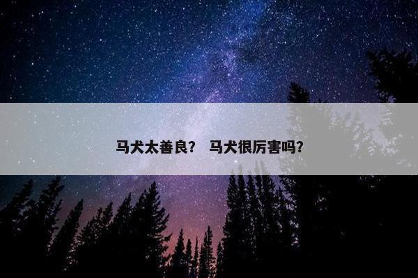 马犬太善良？ 马犬很厉害吗？