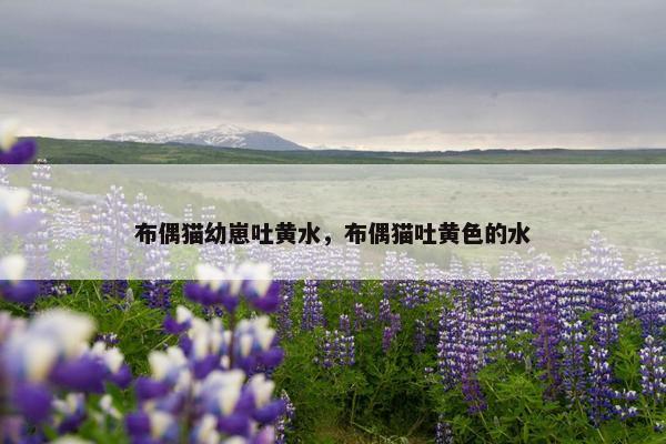 布偶猫幼崽吐黄水，布偶猫吐黄色的水