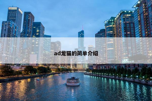 ad龙猫的简单介绍