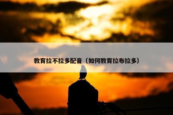 教育拉不拉多配音（如何教育拉布拉多）