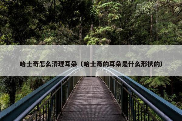 哈士奇怎么清理耳朵（哈士奇的耳朵是什么形状的）