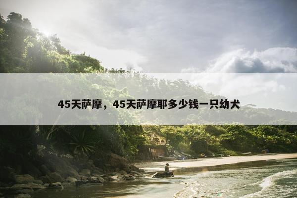 45天萨摩，45天萨摩耶多少钱一只幼犬