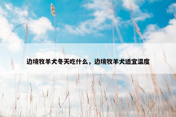 边境牧羊犬冬天吃什么，边境牧羊犬适宜温度