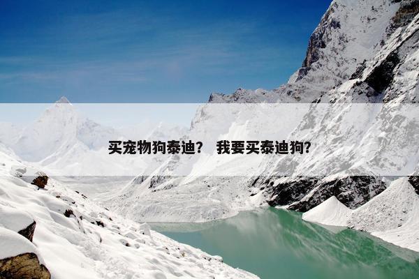 买宠物狗泰迪？ 我要买泰迪狗？