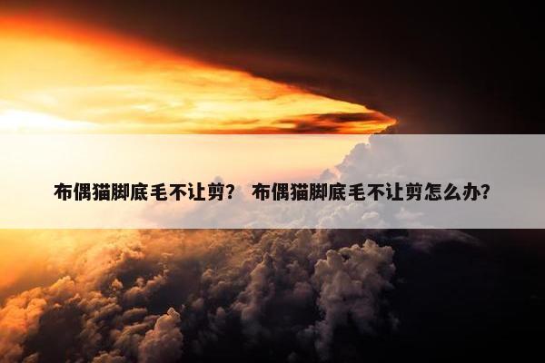 布偶猫脚底毛不让剪？ 布偶猫脚底毛不让剪怎么办？