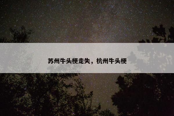 苏州牛头梗走失，杭州牛头梗