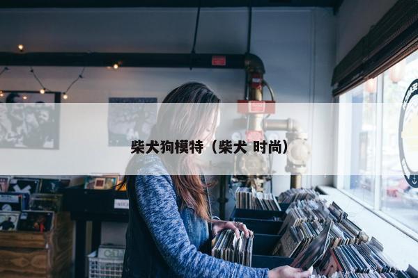 柴犬狗模特（柴犬 时尚）
