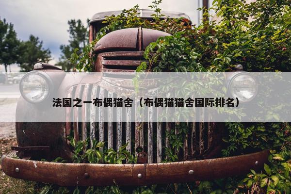 法国之一布偶猫舍（布偶猫猫舍国际排名）