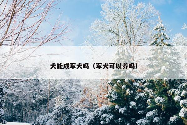 犬能成军犬吗（军犬可以养吗）