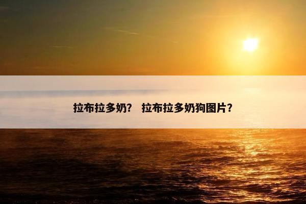 拉布拉多奶？ 拉布拉多奶狗图片？