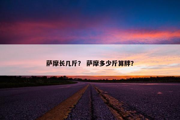 萨摩长几斤？ 萨摩多少斤算胖？
