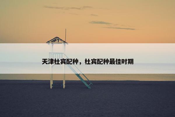 天津杜宾配种，杜宾配种最佳时期