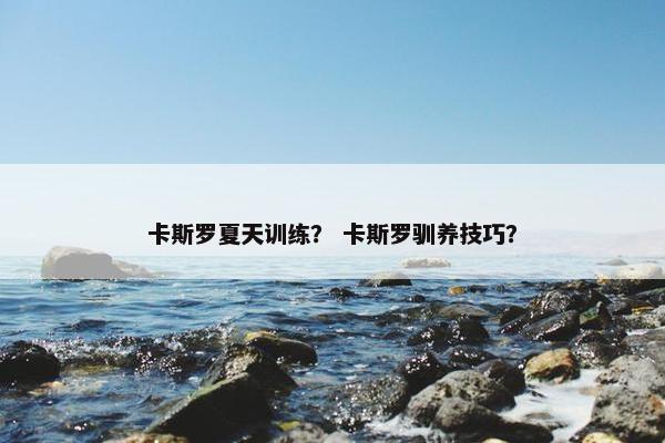 卡斯罗夏天训练？ 卡斯罗驯养技巧？