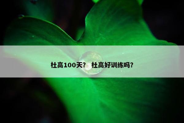 杜高100天？ 杜高好训练吗？