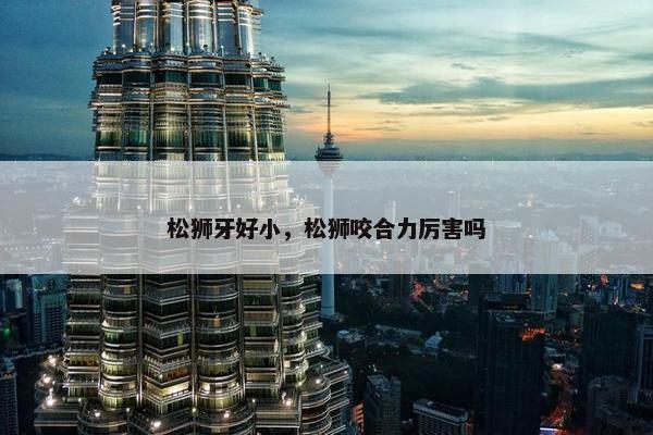 松狮牙好小，松狮咬合力厉害吗