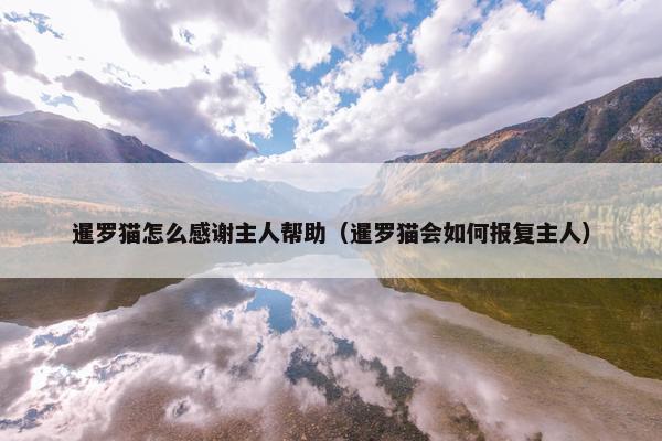 暹罗猫怎么感谢主人帮助（暹罗猫会如何报复主人）