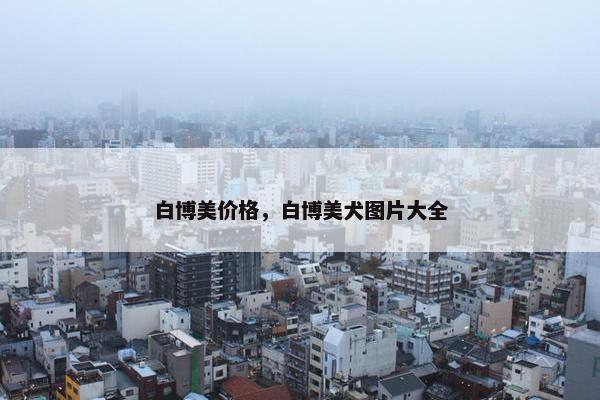 白博美价格，白博美犬图片大全