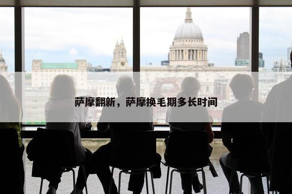 萨摩翻新，萨摩换毛期多长时间
