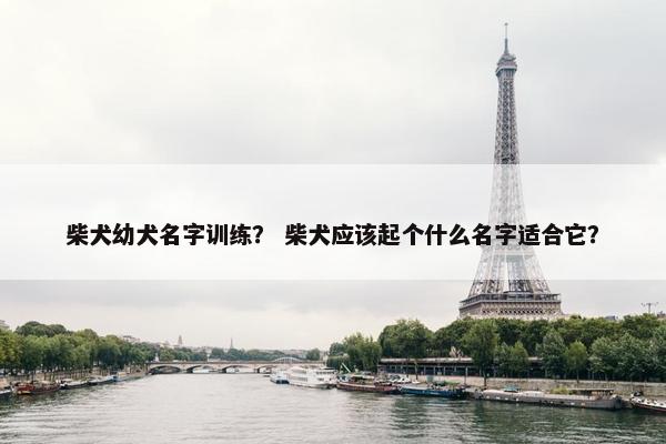 柴犬幼犬名字训练？ 柴犬应该起个什么名字适合它？