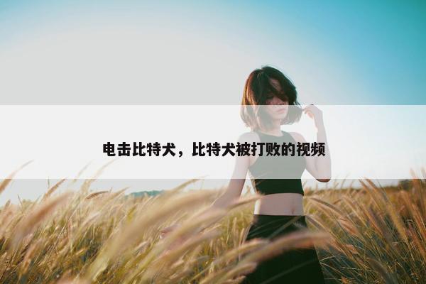 电击比特犬，比特犬被打败的视频