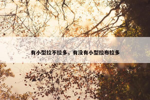 有小型拉不拉多，有没有小型拉布拉多