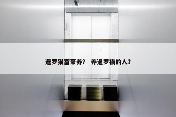 暹罗猫富豪养？ 养暹罗猫的人？