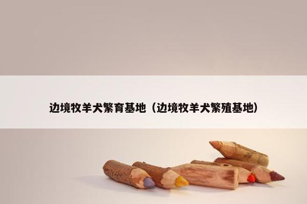 边境牧羊犬繁育基地（边境牧羊犬繁殖基地）