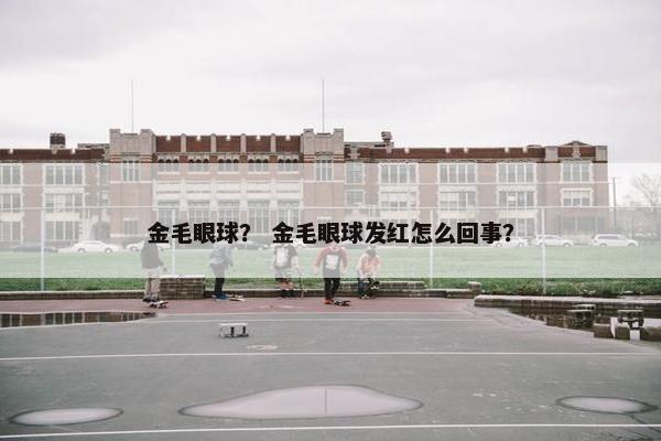 金毛眼球？ 金毛眼球发红怎么回事？