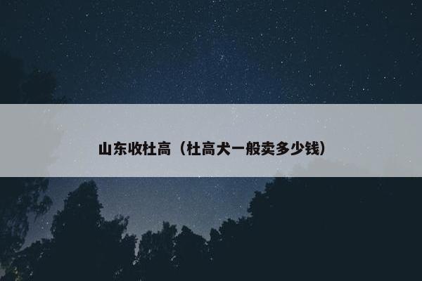 山东收杜高（杜高犬一般卖多少钱）