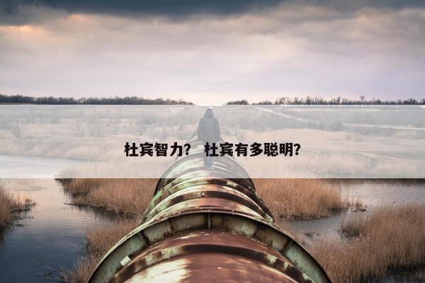 杜宾智力？ 杜宾有多聪明？