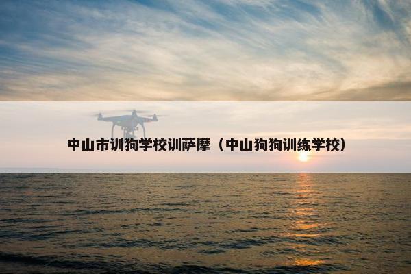 中山市训狗学校训萨摩（中山狗狗训练学校）
