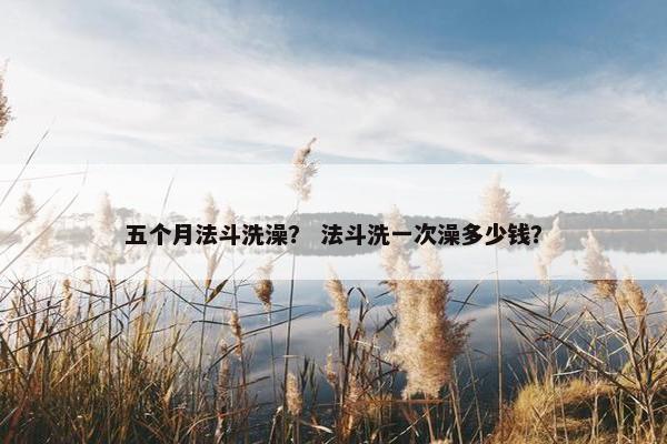 五个月法斗洗澡？ 法斗洗一次澡多少钱？