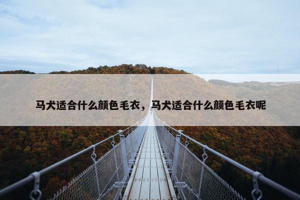 马犬适合什么颜色毛衣，马犬适合什么颜色毛衣呢