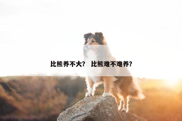 比熊养不大？ 比熊难不难养？