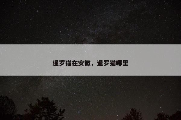 暹罗猫在安徽，暹罗猫哪里