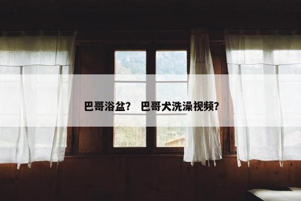 巴哥浴盆？ 巴哥犬洗澡视频？