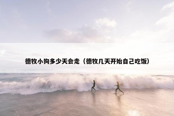 德牧小狗多少天会走（德牧几天开始自己吃饭）