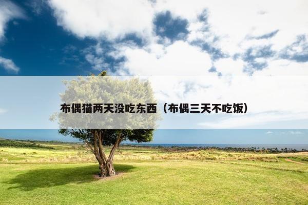 布偶猫两天没吃东西（布偶三天不吃饭）