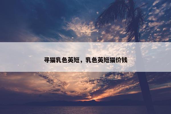 寻猫乳色英短，乳色英短猫价钱